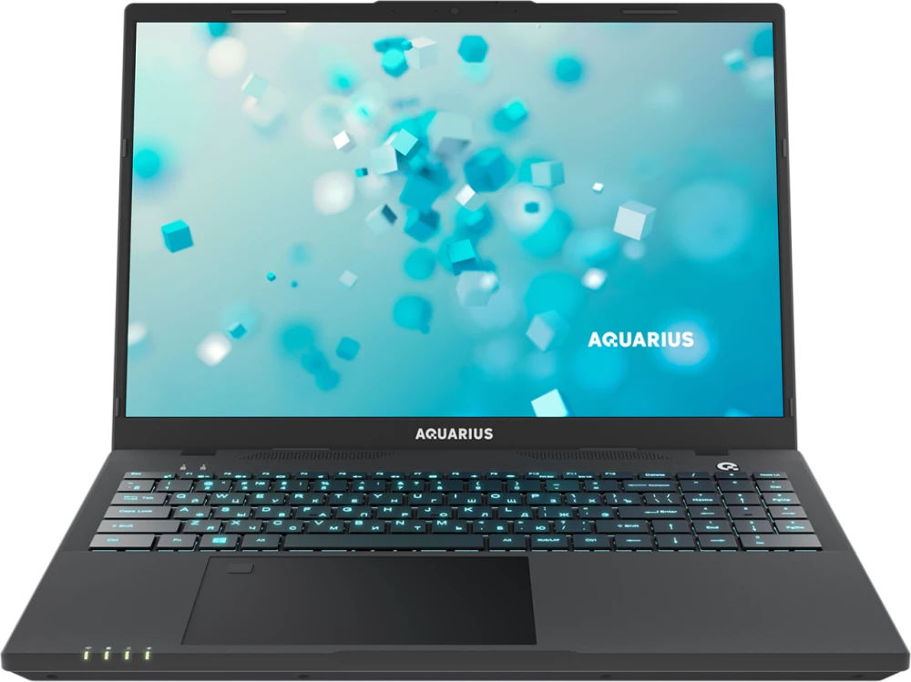 Ноутбук 16" Aquarius Cmp NS616, черный (NS6161525116S151SCN2TNNNN2)