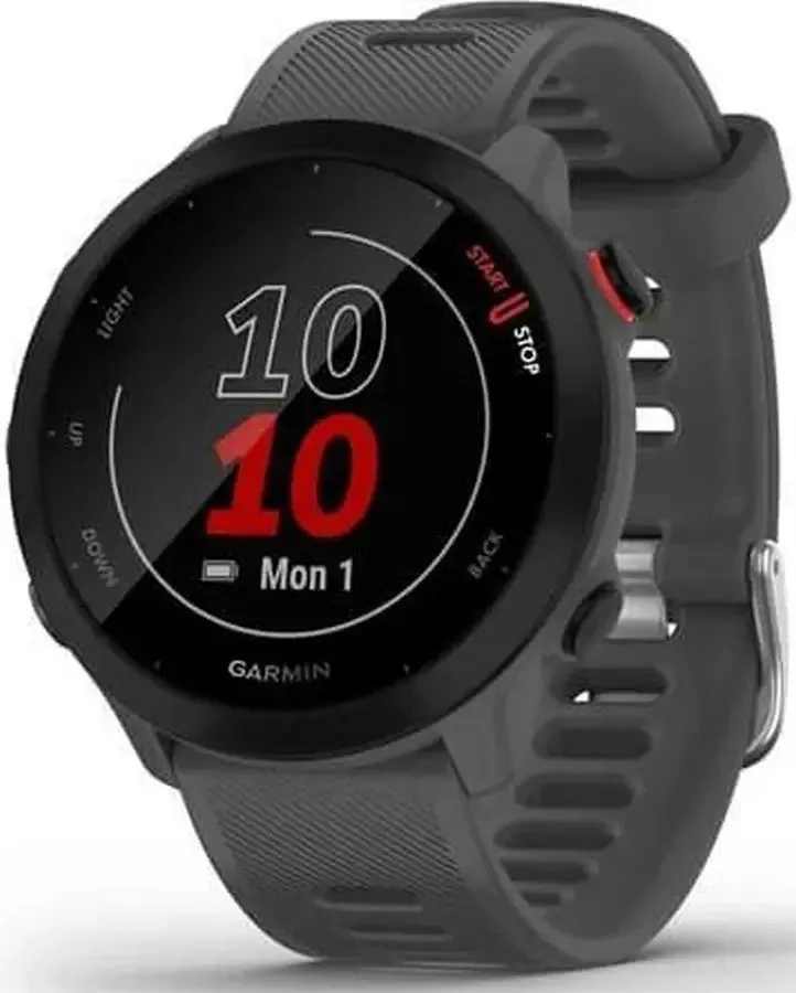 Смарт-часы Garmin Forerunner 55, серый