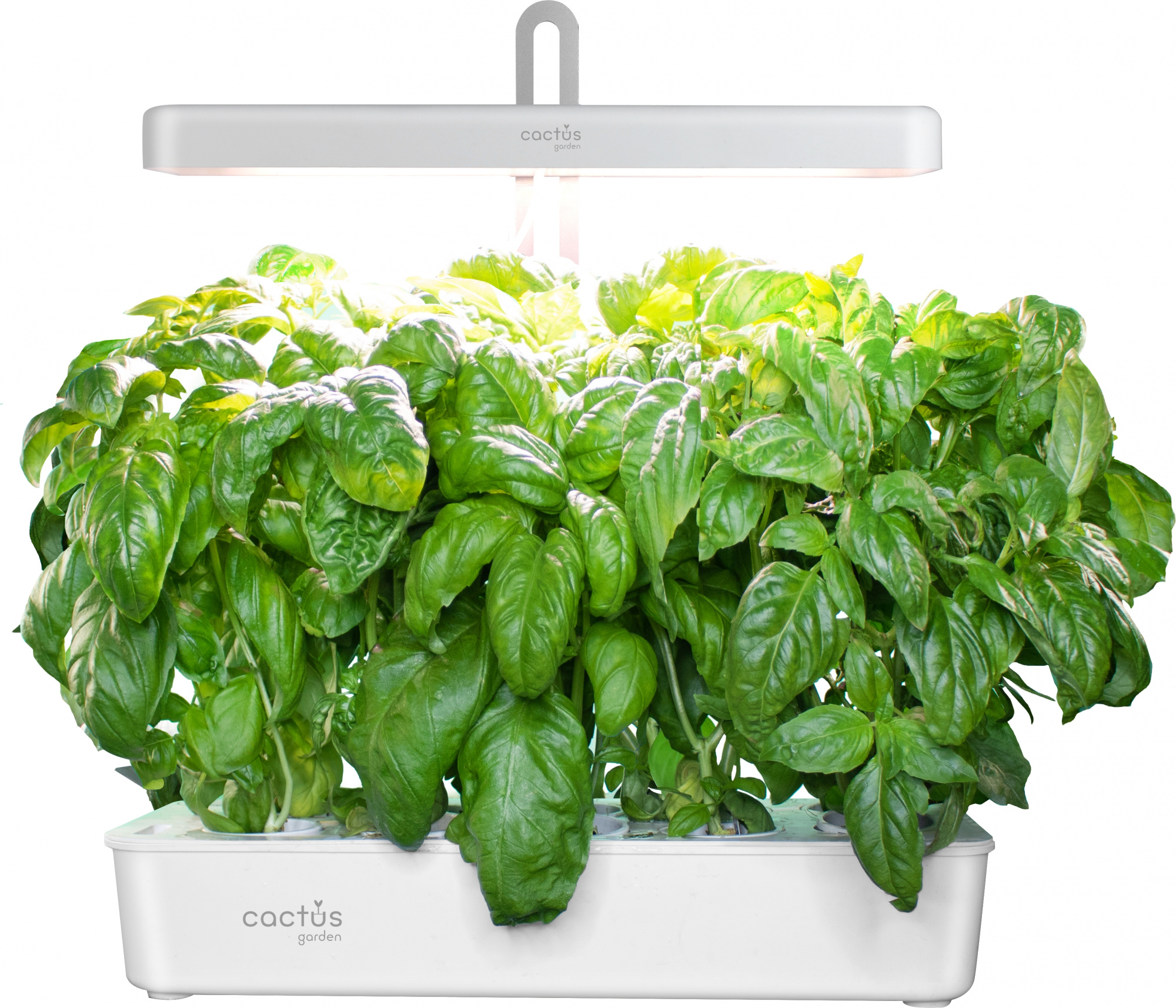 Гидропонная установка Cactus CS-LEDPOT-10