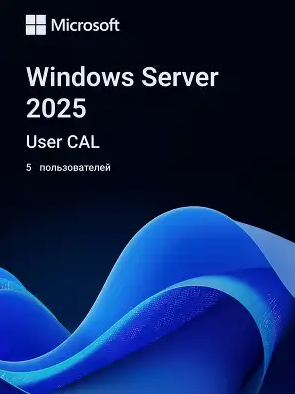 Лицензия Microsoft Windows Server CAL 2025, English (EP2-25279)