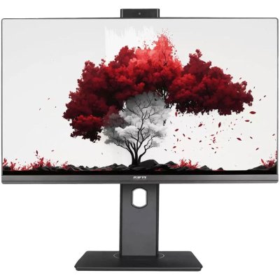 Монитор 23.8" RDW RDW2402K черный