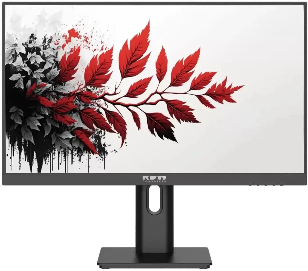 Монитор 27" RDW RDW2701K черный