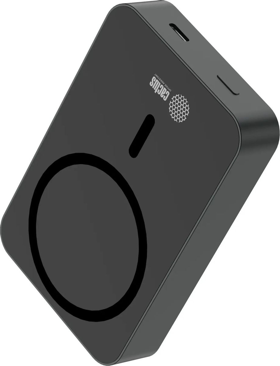 Портативный аккумулятор (Powerbank) Cactus CS-PBFSTA-10000, 10000 мА·ч, черный