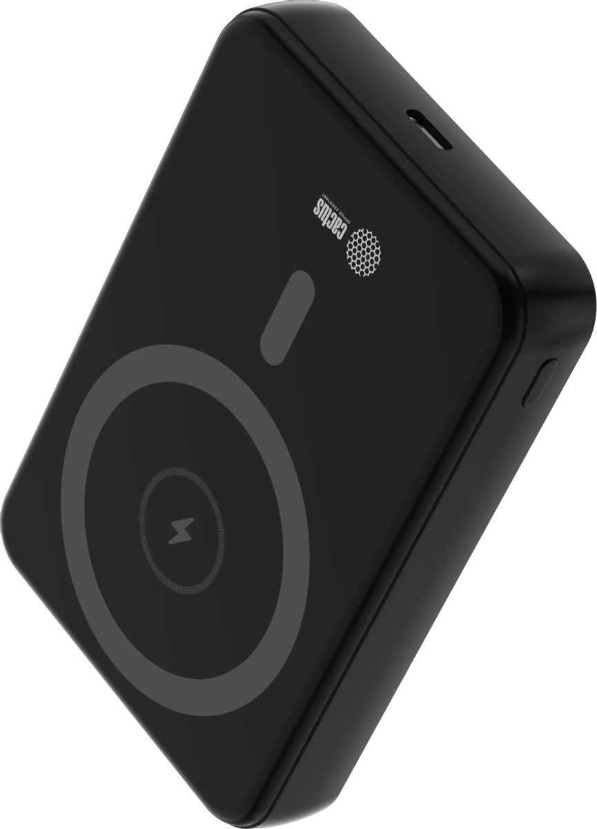 Портативный аккумулятор (Powerbank) Cactus CS-PBFSUA-10000, 10000 мА·ч, черный