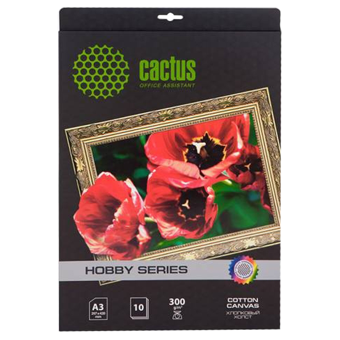 

Холст A4 300 г/м², 10 листов, односторонняя, Cactus CS-СA426010/CS-CA426010 для струйной печати, Белый, CS-СA426010