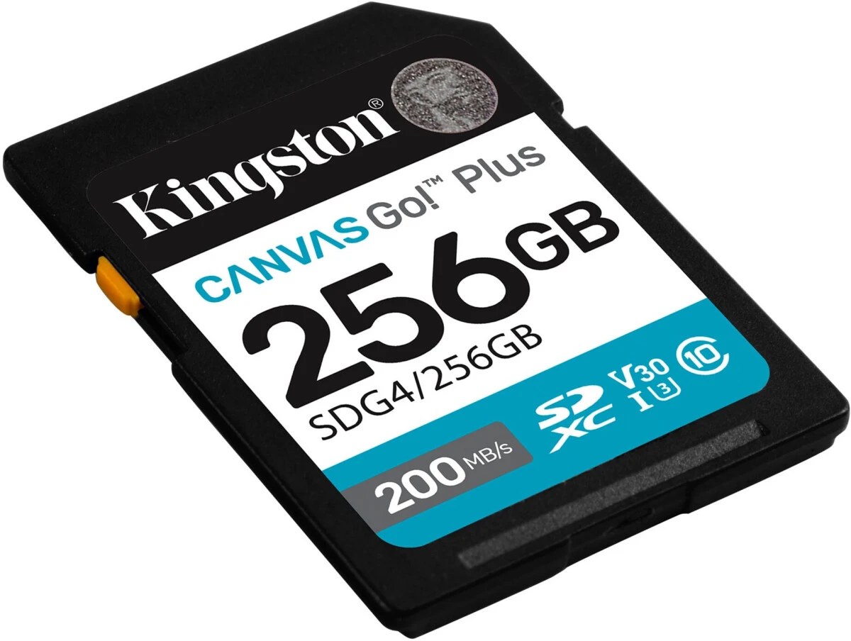 Карта памяти SDXC Kingston 256Gb Class 10 UHS-I U3 (SDG4/256GB)