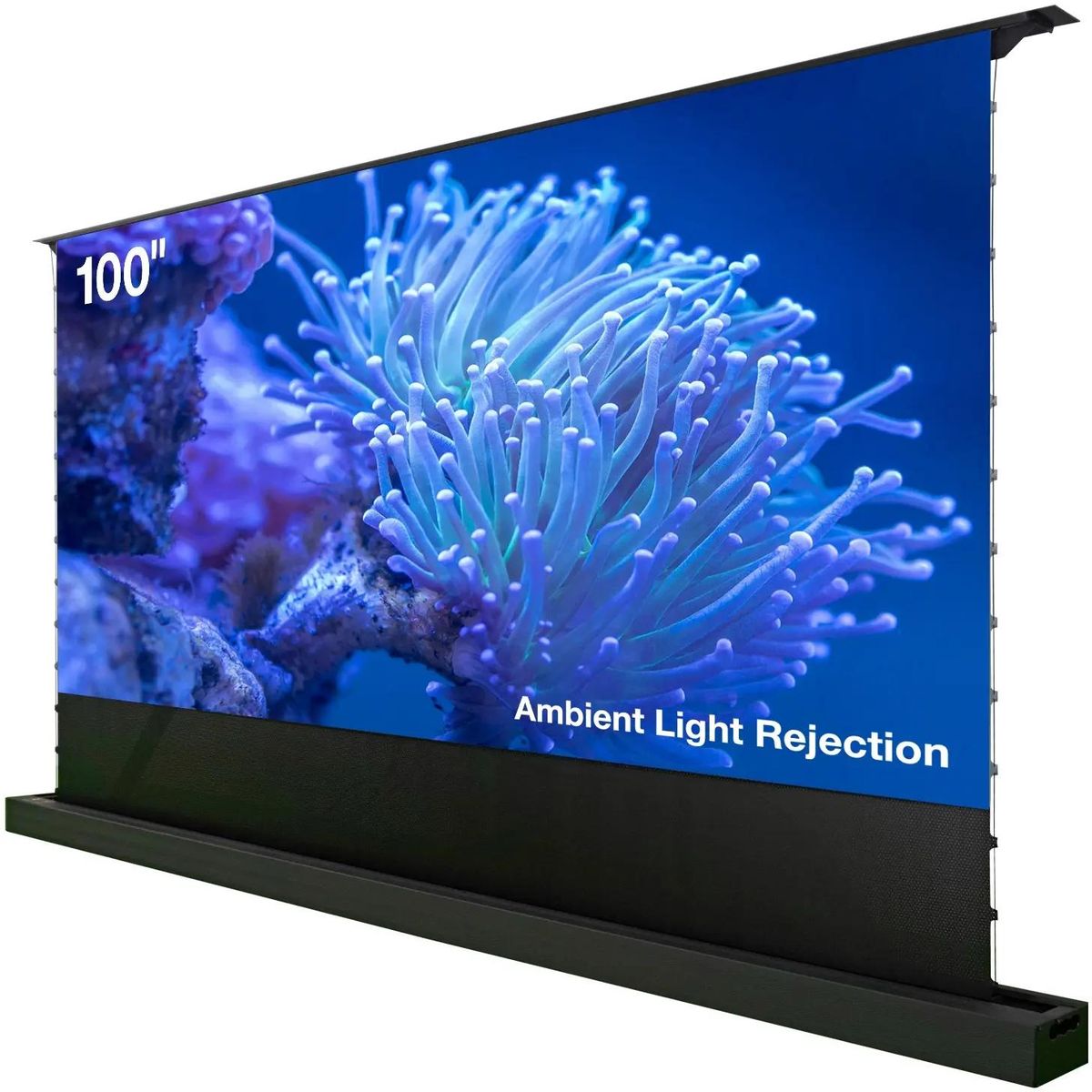 Экран для проектора Cactus CS-PSFRALR-221X125, 100" 16:9 125x221