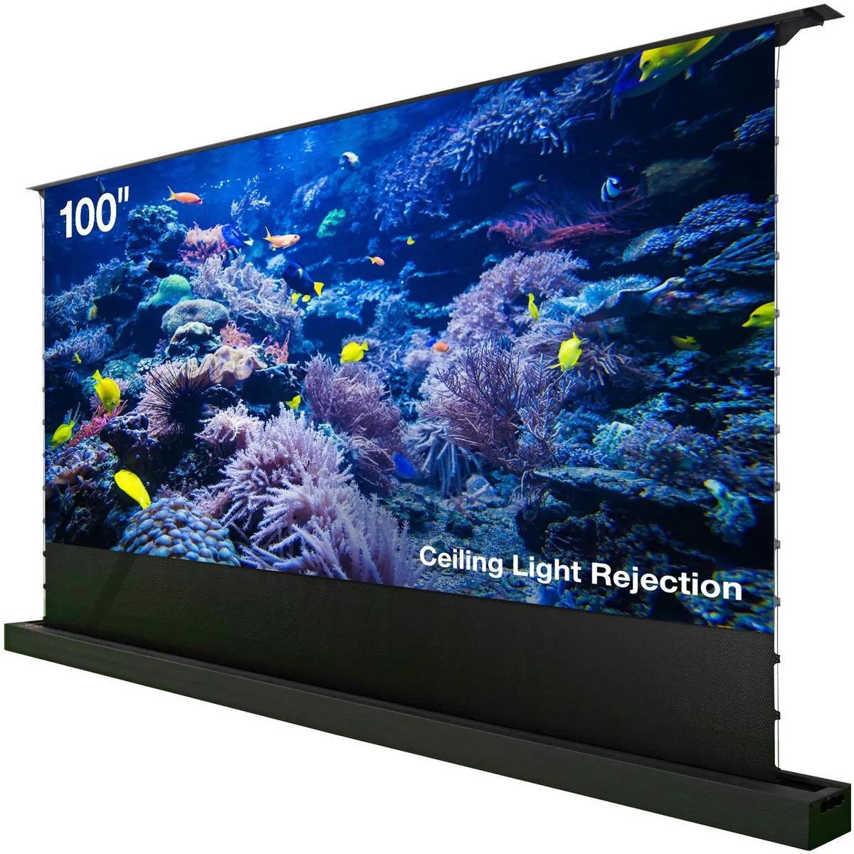 Экран для проектора Cactus CS-PSFRCLR-221X125, 100" 16:9 125x221