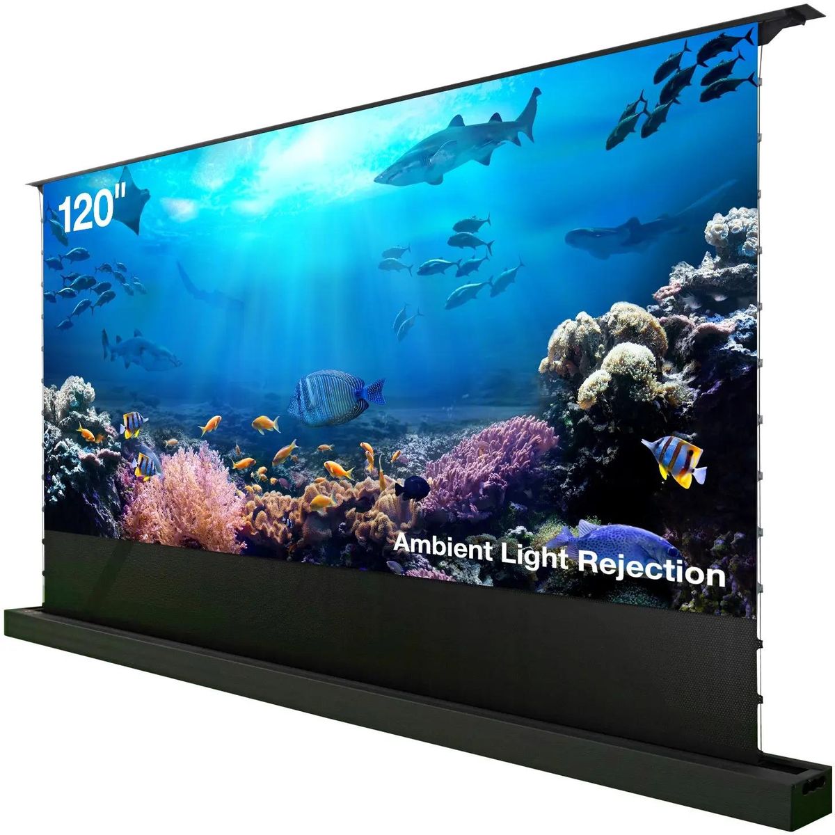 Экран для проектора Cactus CS-PSFRALR-263X148, 120" 16:9 148x263