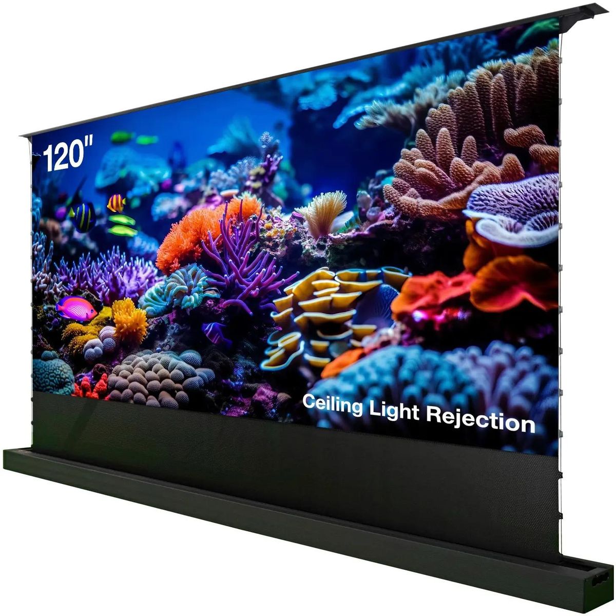 Экран для проектора Cactus CS-PSFRCLR-263X148, 120" 16:9 148x263