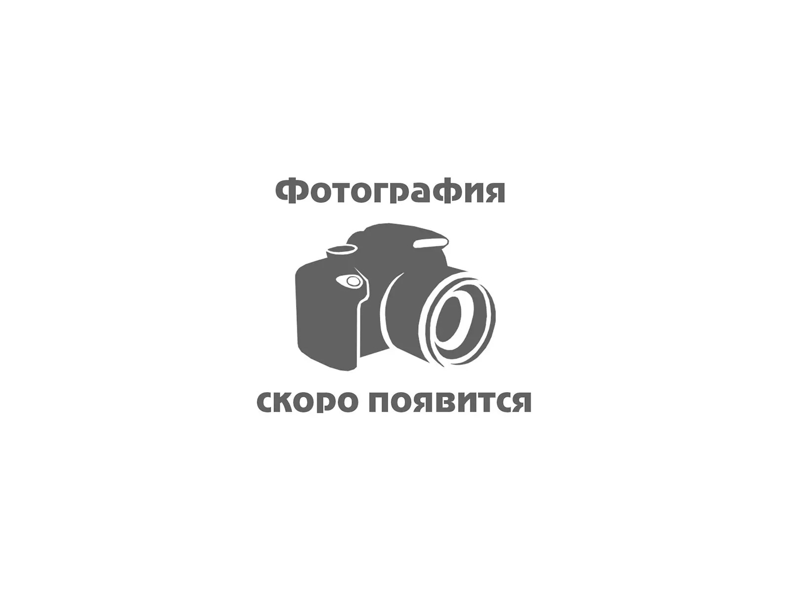 Конструктор Pet series кошка (2) 240245
