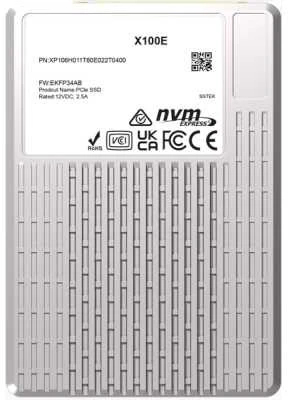 Твердотельный накопитель (SSD) Phison X100E 6.4Tb, U.3 2.5", PCI-E (XP106H016T40E028T1900)