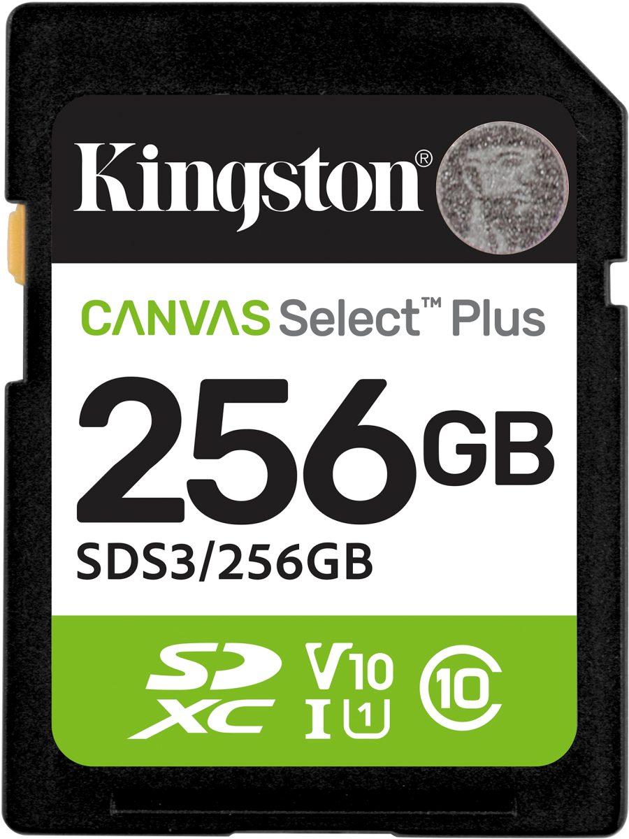 Карта памяти SDXC Kingston 256Gb Class 10 UHS-I U1 (SDS3/256GB)