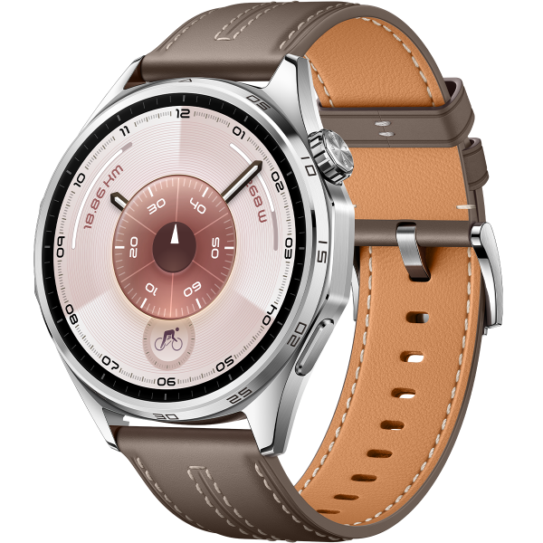 Смарт-часы Huawei Watch GT 6, серебристый/коричневый