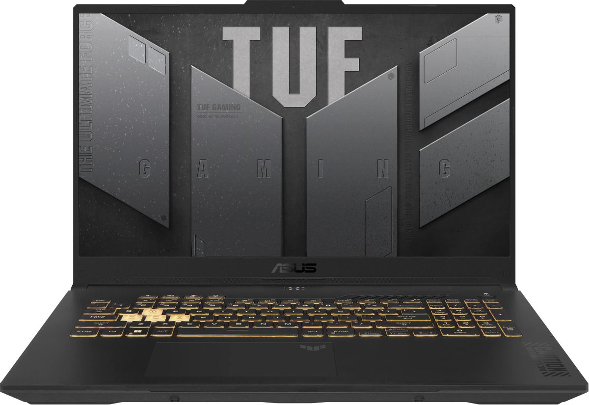Ноутбук 17.3" ASUS TUF Gaming F17 FX707VJ-HX013, серый (90NR0MY5-M000Z0)