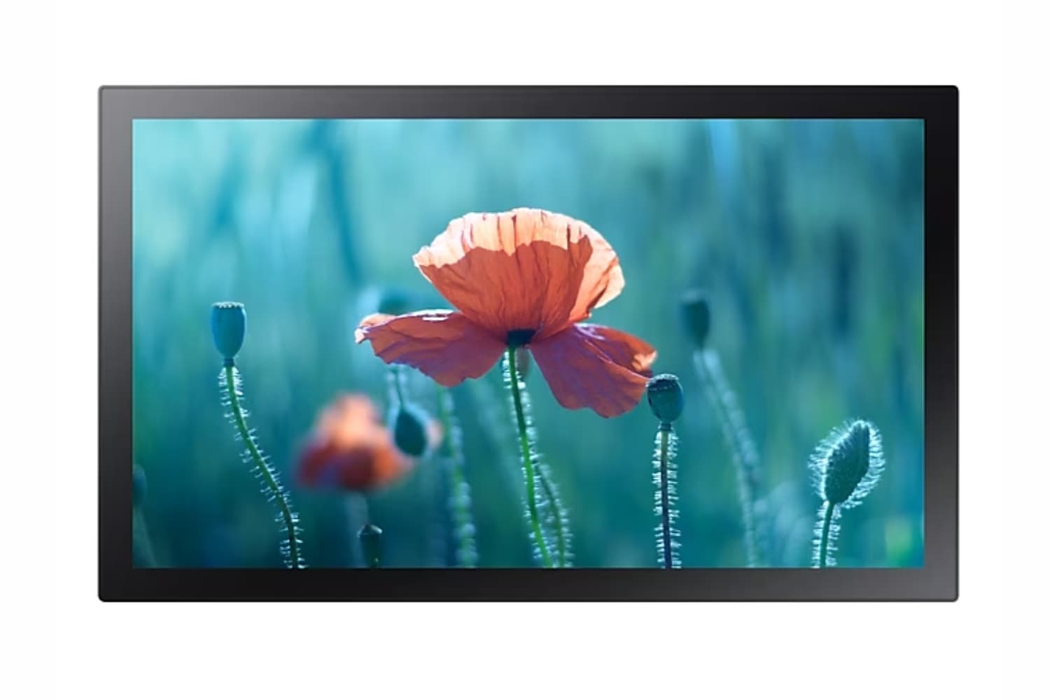 Профессиональный дисплей 24" Samsung QB24C-T, FullHD, 1920x1080