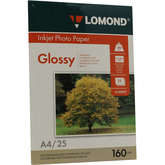 Фотобумага Lomond (0102079)
