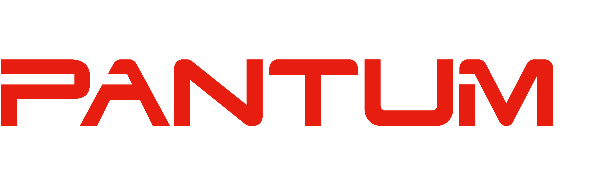 Печатающая головка Pantum (302151092101)