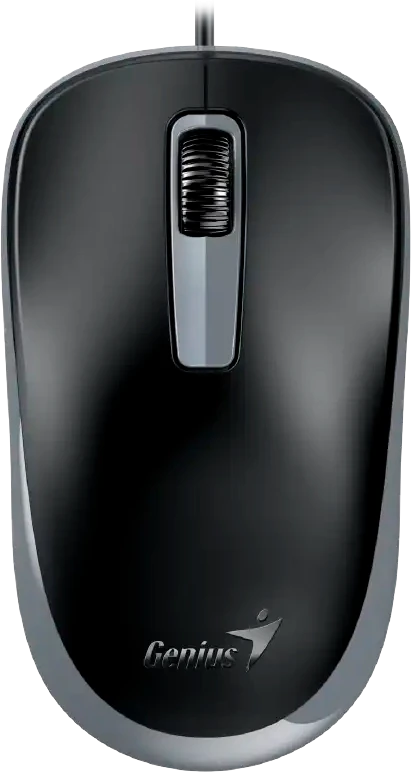 Мышь Genius DX-125S, USB, черный/серый (31010027402)