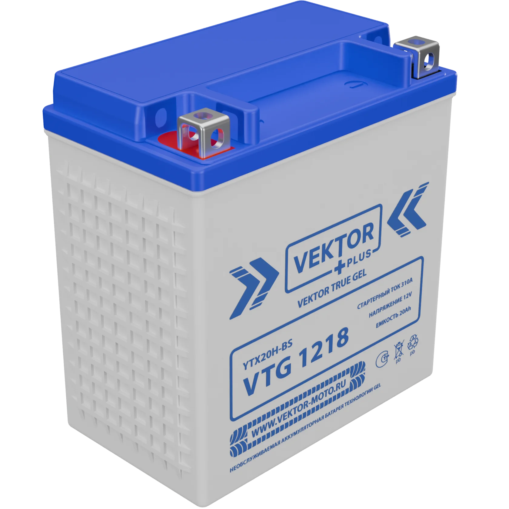 Мото аккумулятор VEKTOR Plus VTG 1218 (YTX20H-BS)