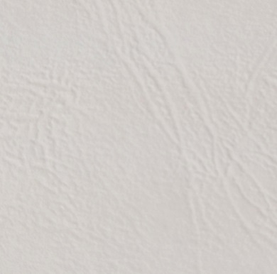 

Фотобумага SRA3 240г/м2 Кожа, 250 листов, односторонняя, Xerox Embossed White 450L80007 для лазерной печати, 0