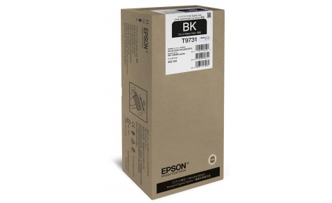 

Чернила Epson C13T973100, 402 мл, черный, оригинальные для Epson WorkForce Pro WF-C869RDTWF, C13T973100