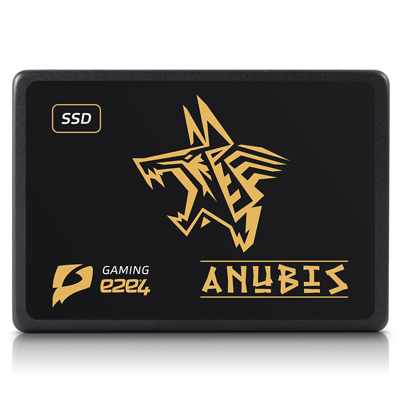 Твердотельный накопитель (SSD) e2e4 OT-SSDANB-120G