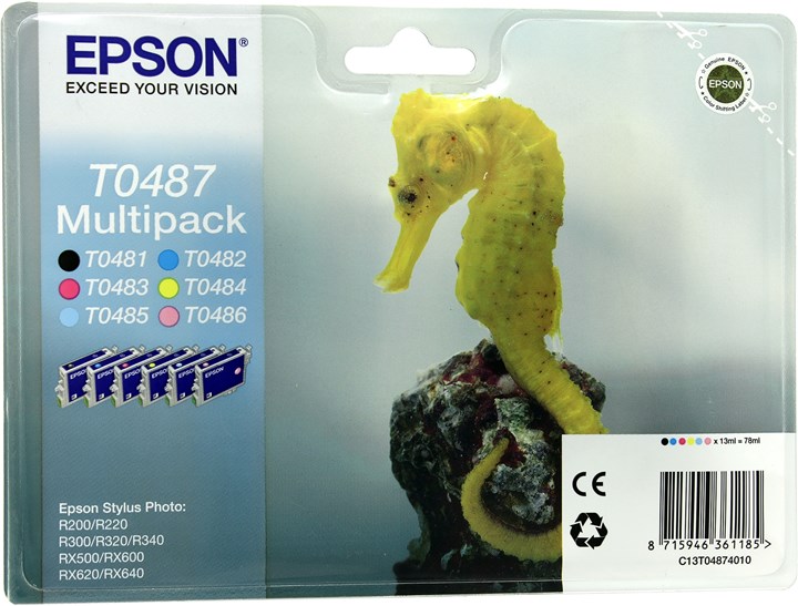 Картридж Epson T0487 (C13T04874010)