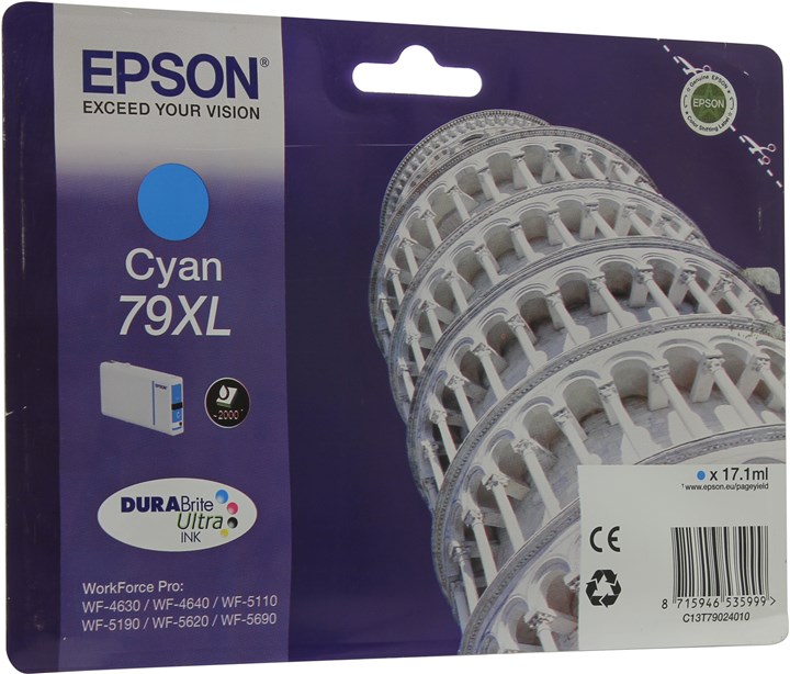 Картридж Epson T7902 (C13T79024010)