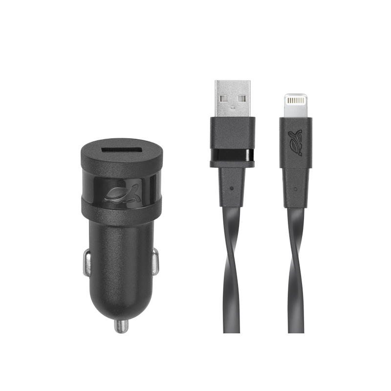 Автомобильное зарядное устройство RivaCase Rivapower VA4215 BD2, USB, 1А, кабель Lightning 8-pin, черный (4260403572610)