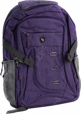 

15.6" Рюкзак Envy Street фиолетовый (31122), Street