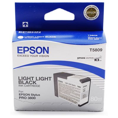 Картридж Epson T5809 (C13T580900), светло-серый, 80 мл