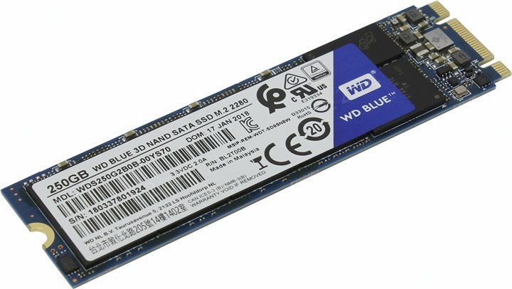 Твердотельный накопитель (SSD) Western Digital 250Gb Blue, 2280, M.2 (WDS250G2B0B) - фото 1