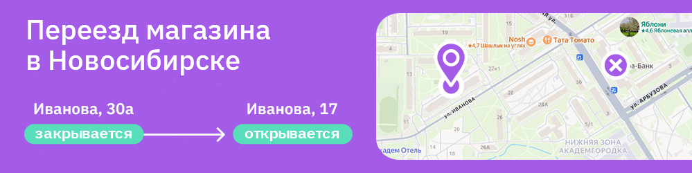 1000х250 Новосибирск.png