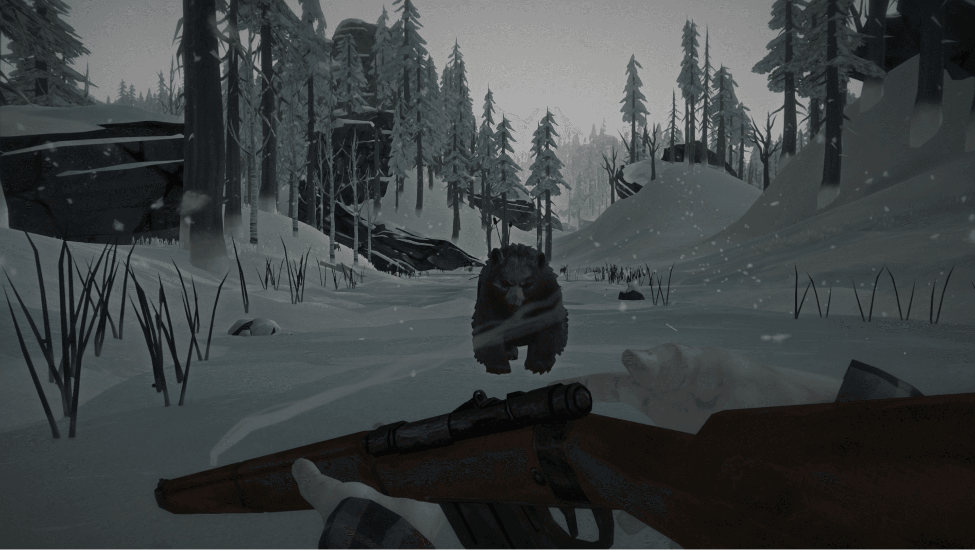 image12.png
