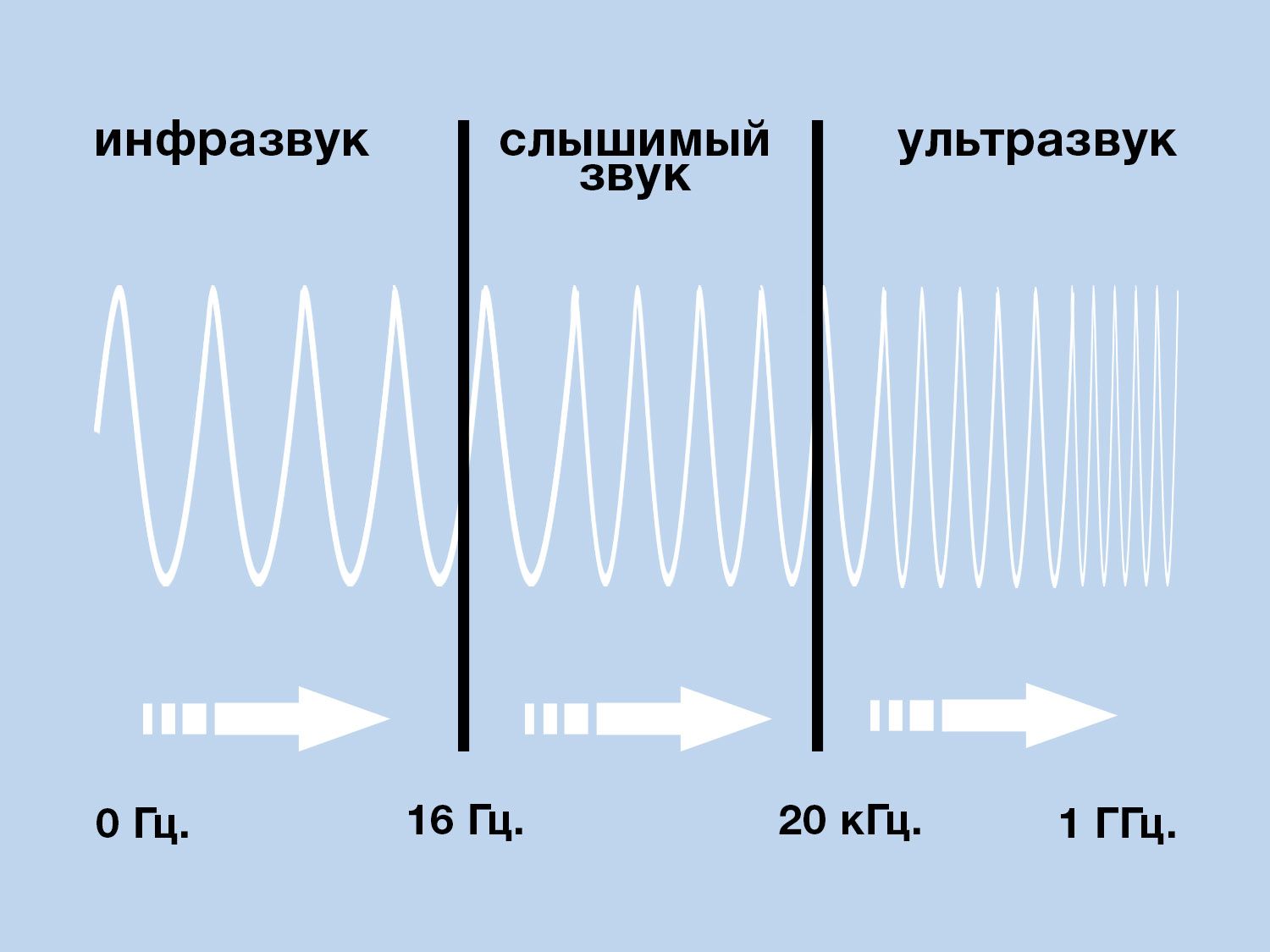 image19.jpg