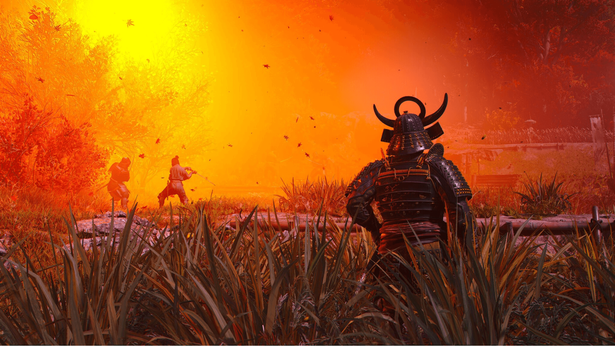 image2.png
