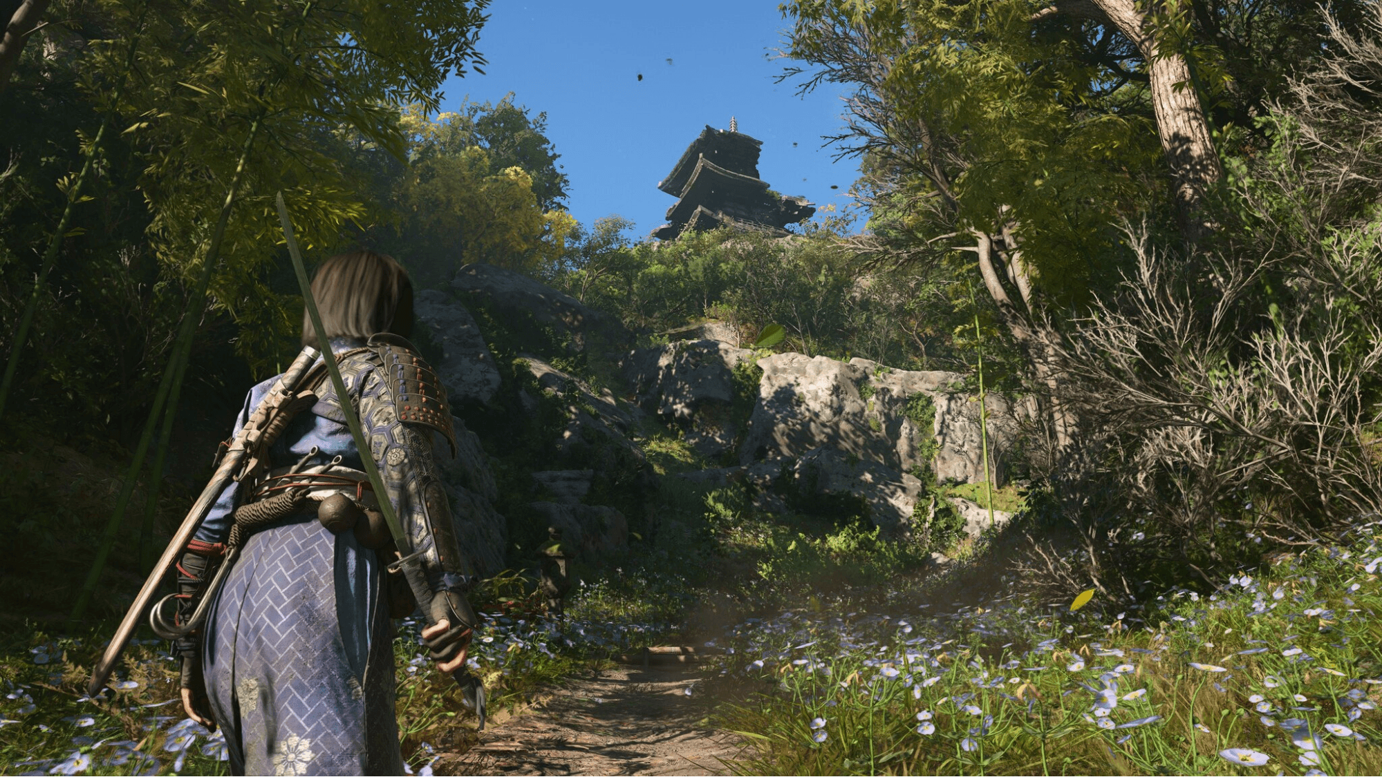 image5.png