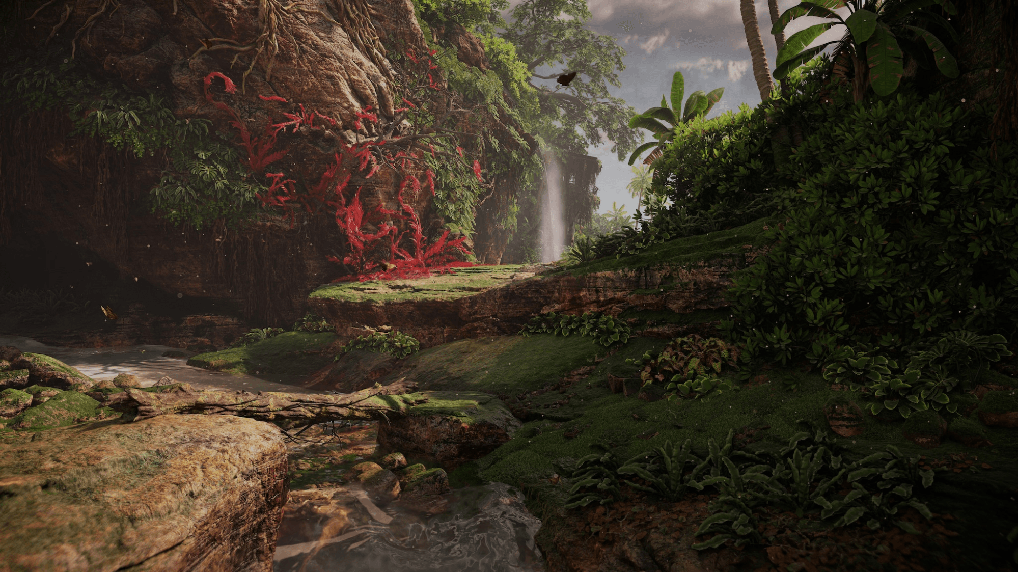 image6.png