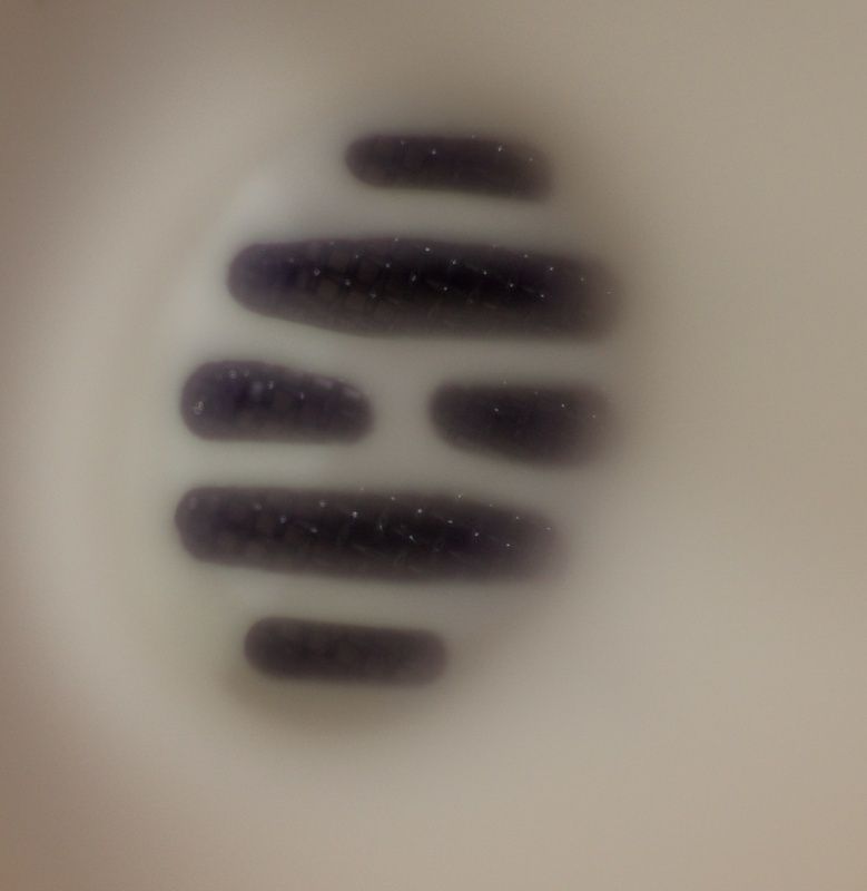 image8.jpg